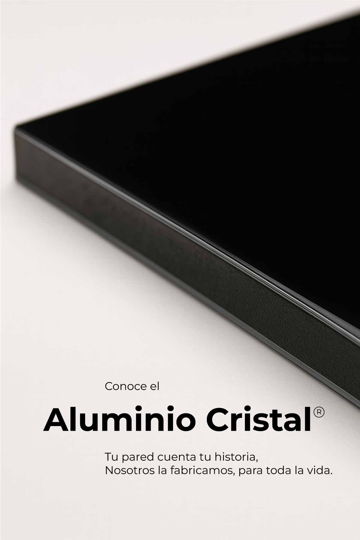 El Vuelo De Harry Potter