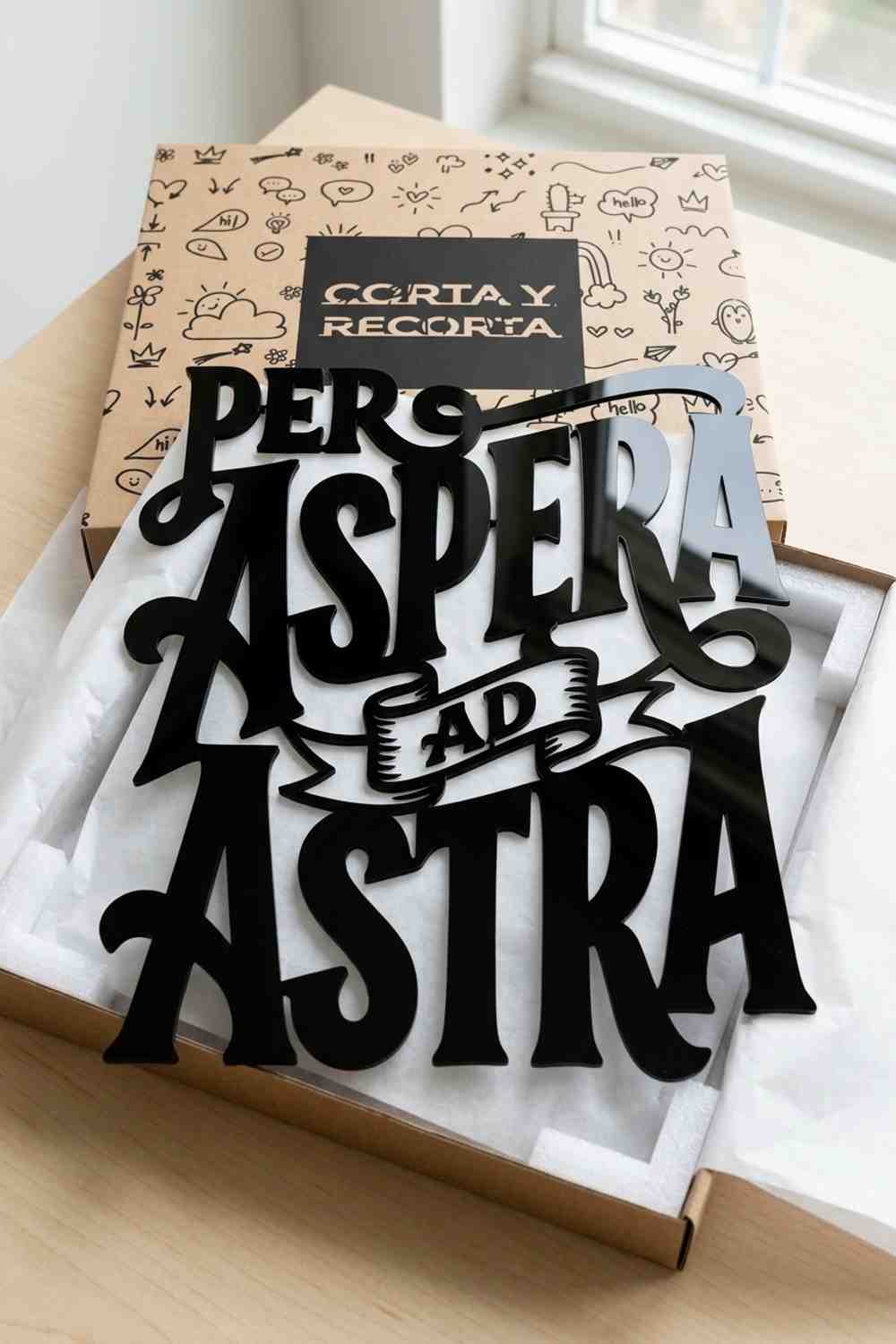 PER ASPERA AD ASTRA