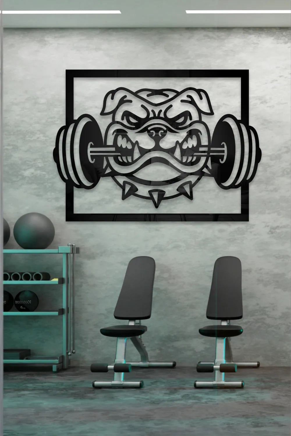 Bull dog gym