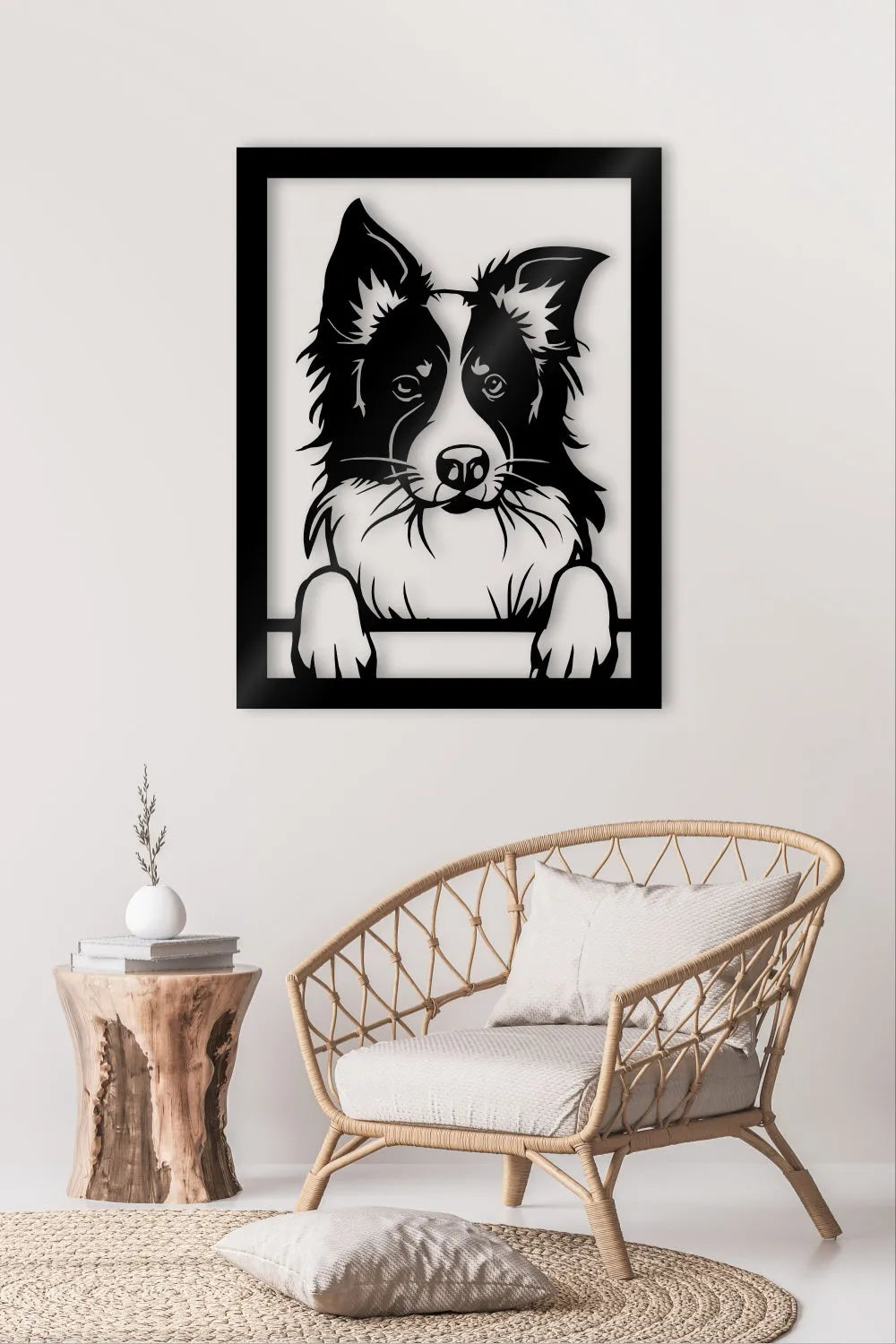 Border Collie