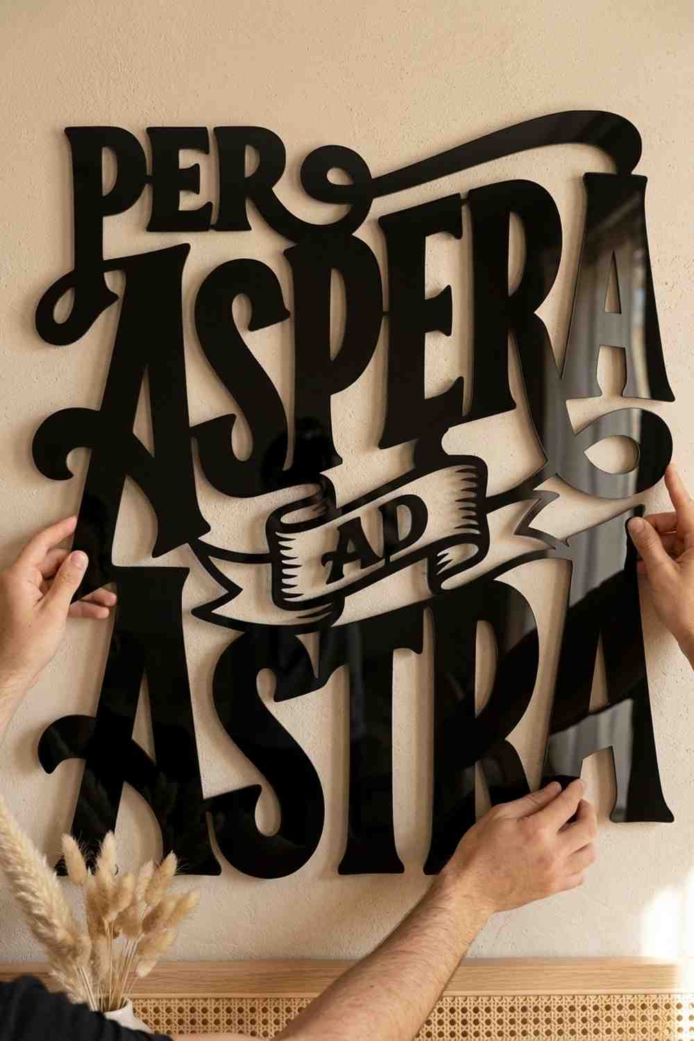 PER ASPERA AD ASTRA