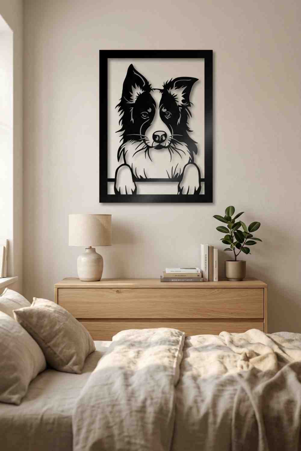 border collie
